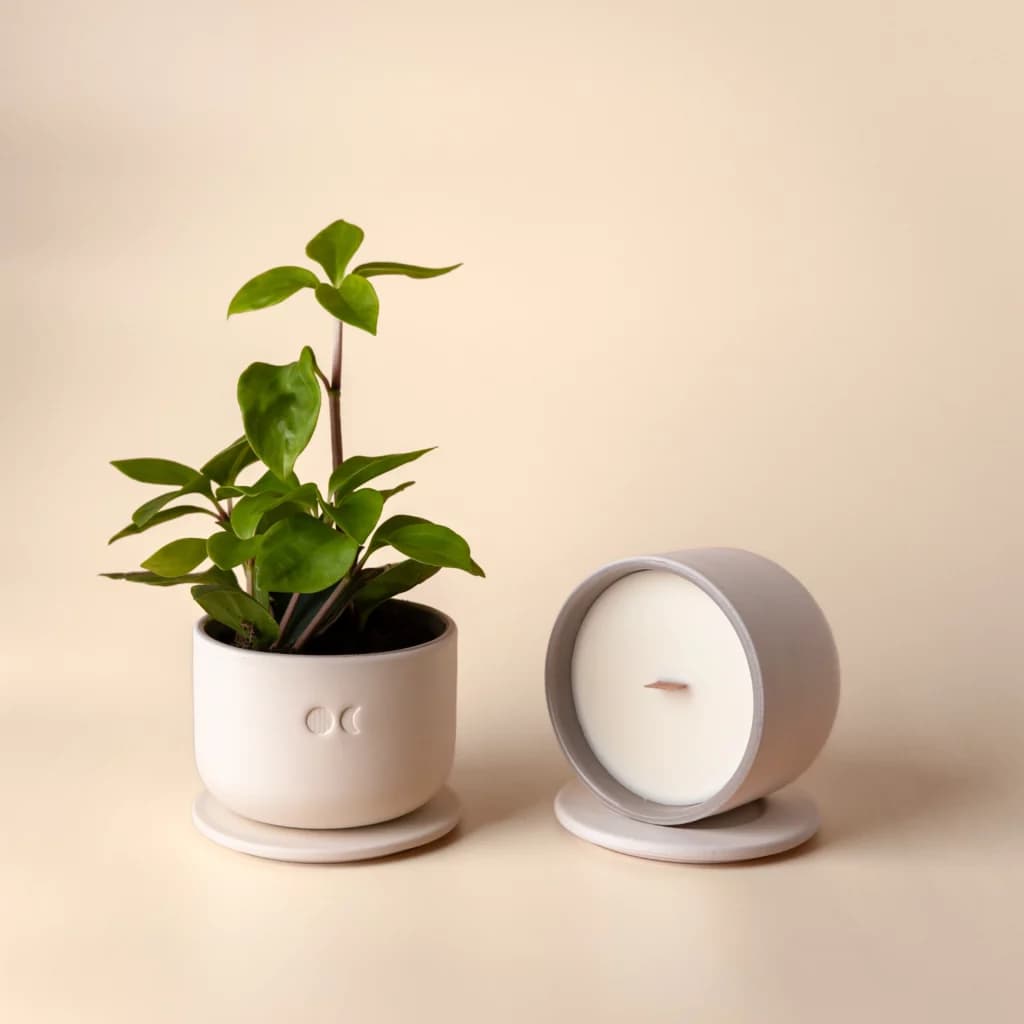 The Bloom & Glow Set