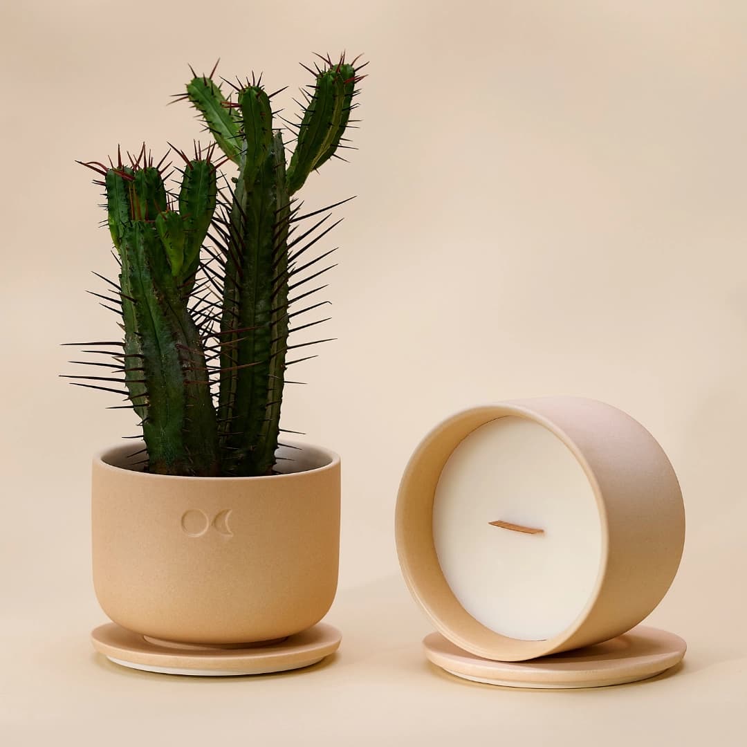 Blühende Keramikkerze - Amber - 220g