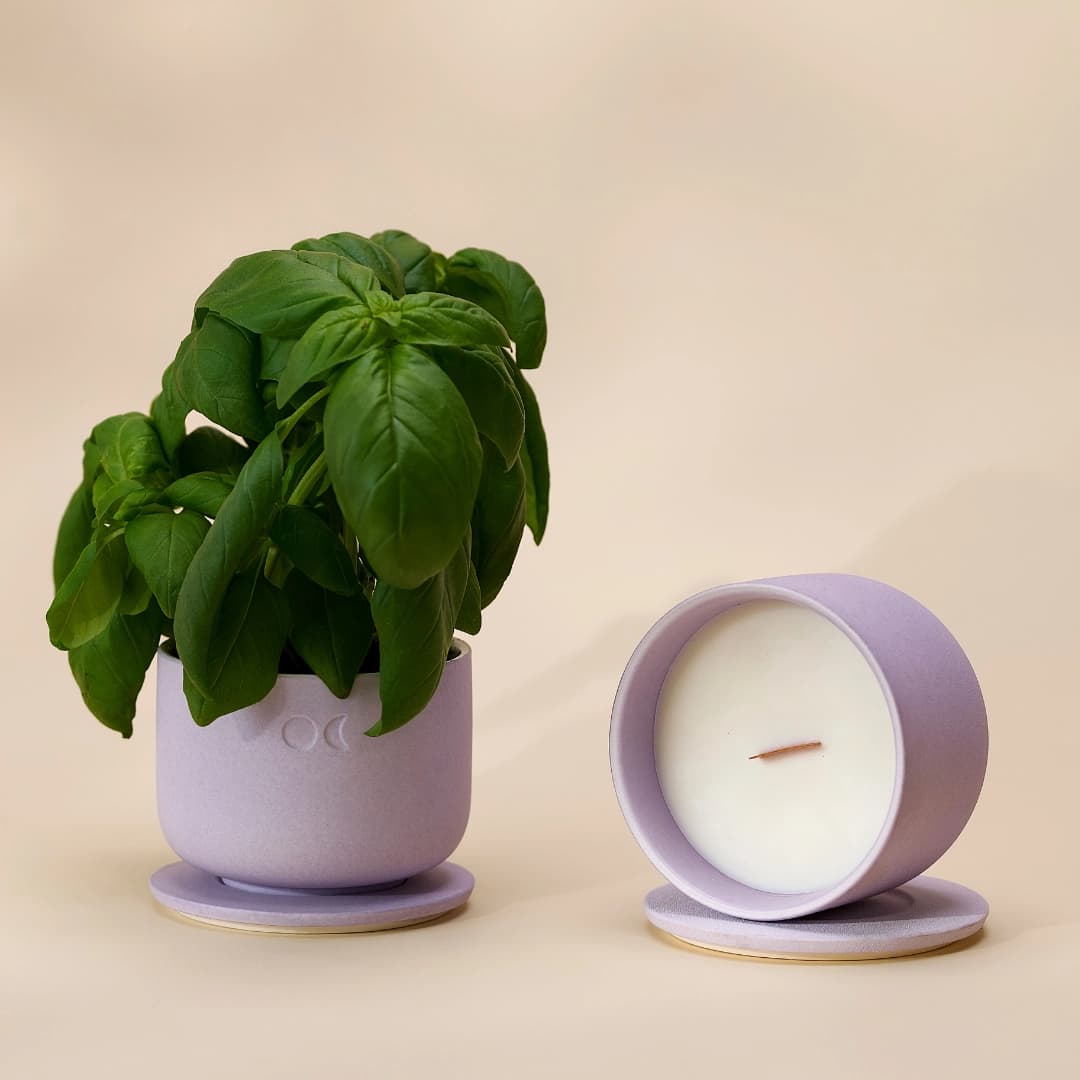 Blühende Keramikkerze - Kirschblüten - 220g