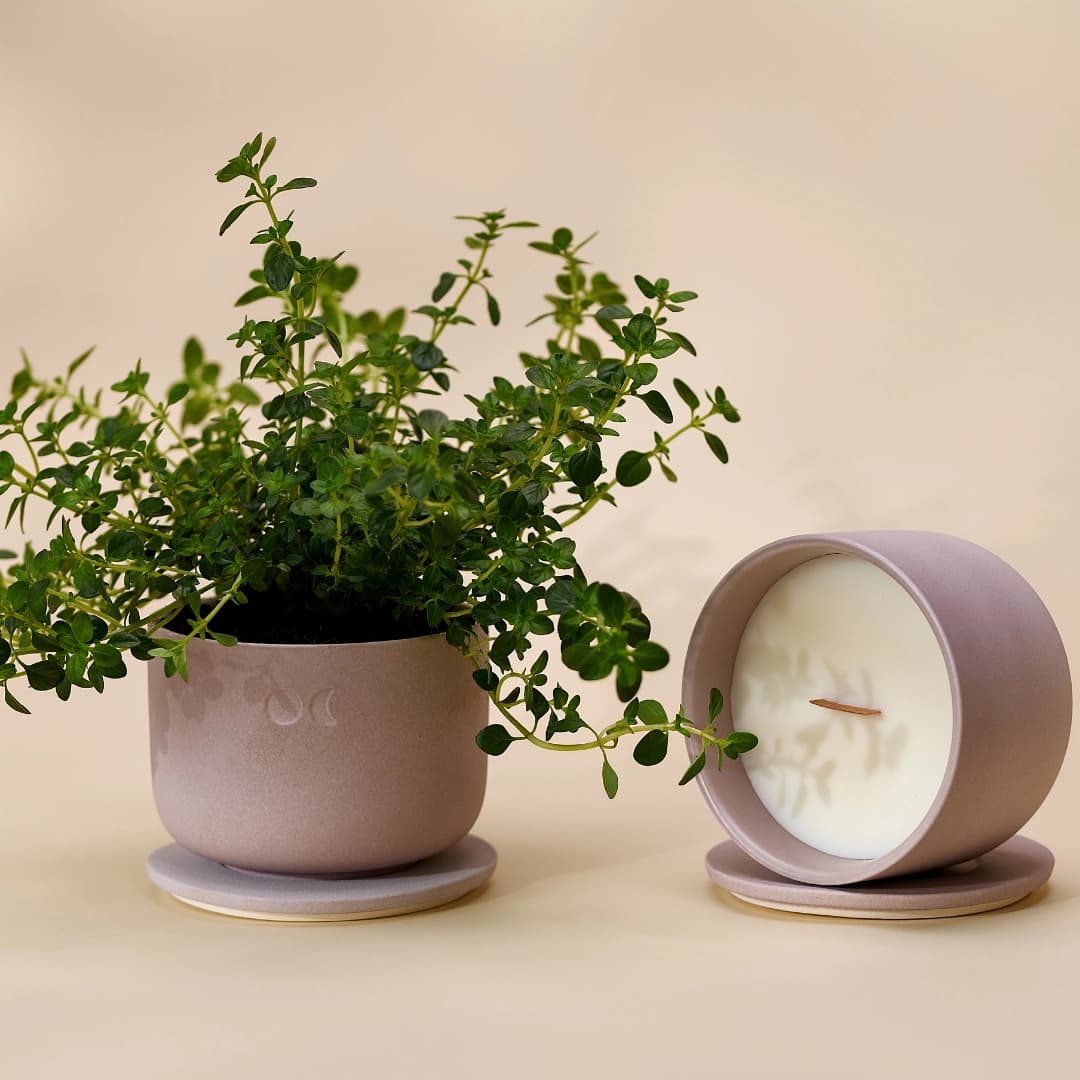 Blühende Keramikkerze - Englische Birne Freesie - 220g