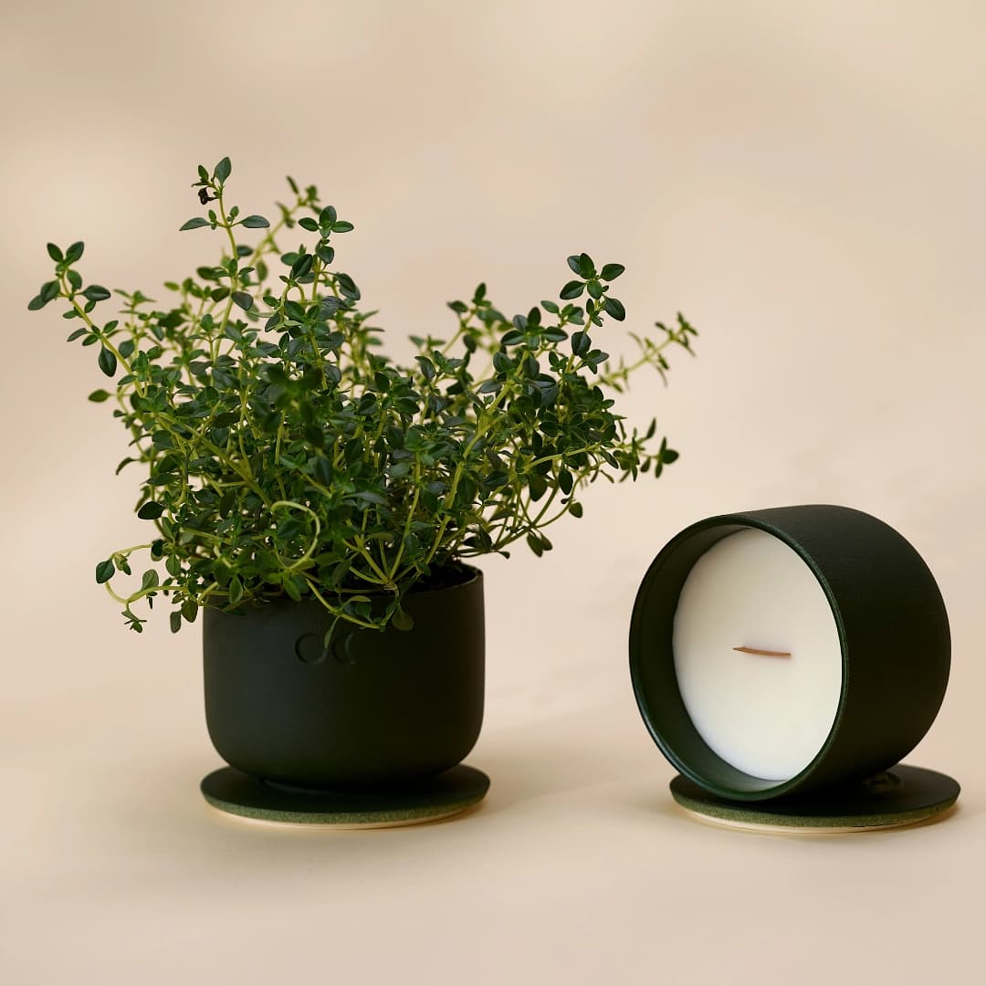 Blühende Keramikkerze - Wacholder Lavendel - 220g