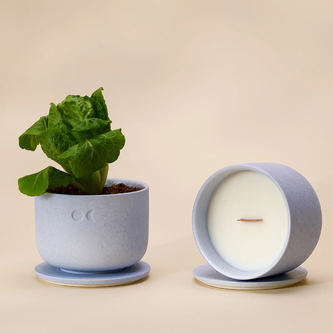 Blühende Keramikkerze - Zitronengras Bergamotte - 220g