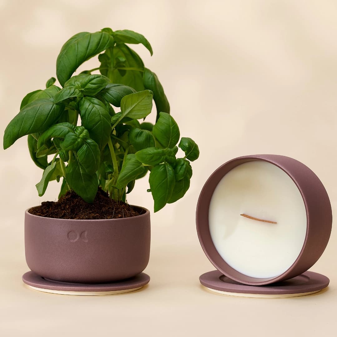 Blühendes Trio - Limette Basilikum und Zitrusfrüchte, Wacholder Lavendel, Kirschblüten (440gr X 3)