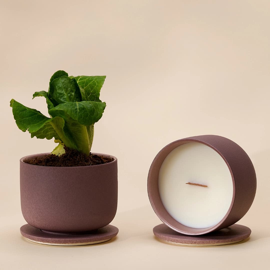 Blühende Keramikkerze - Limette Basilikum und Zitrusfrüchte - 220g