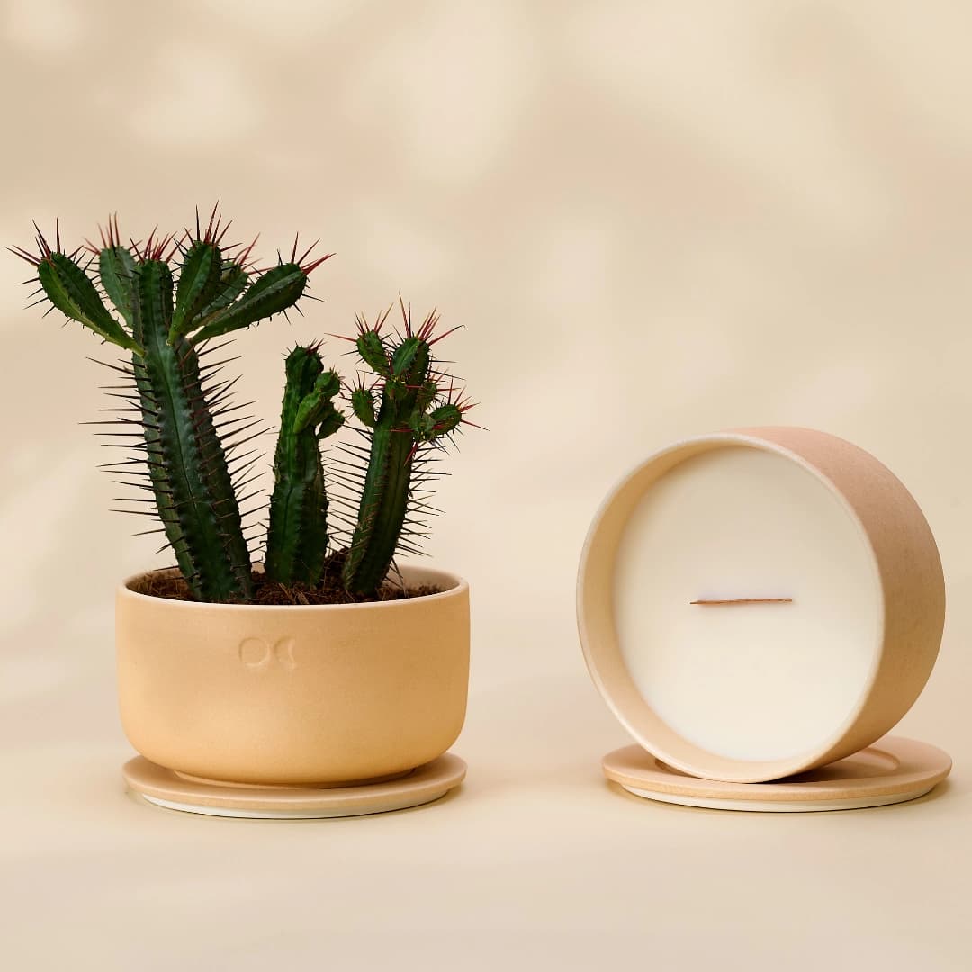 Blühendes Trio - Sandelholz, Mitternachtsjasmin, Amber (440gr X 3)