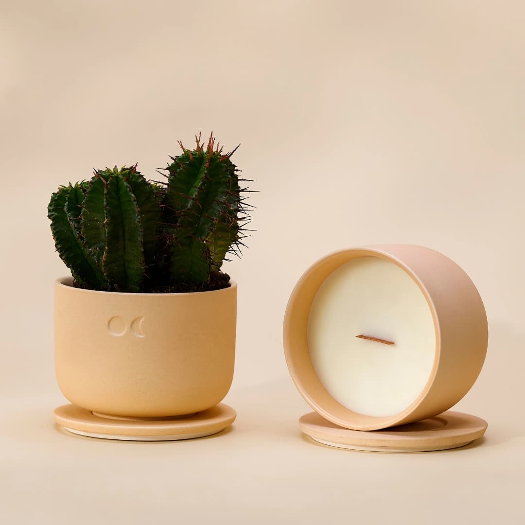 Blühendes Trio - Sandelholz, Mitternachtsjasmin, Amber (220gr X 3)