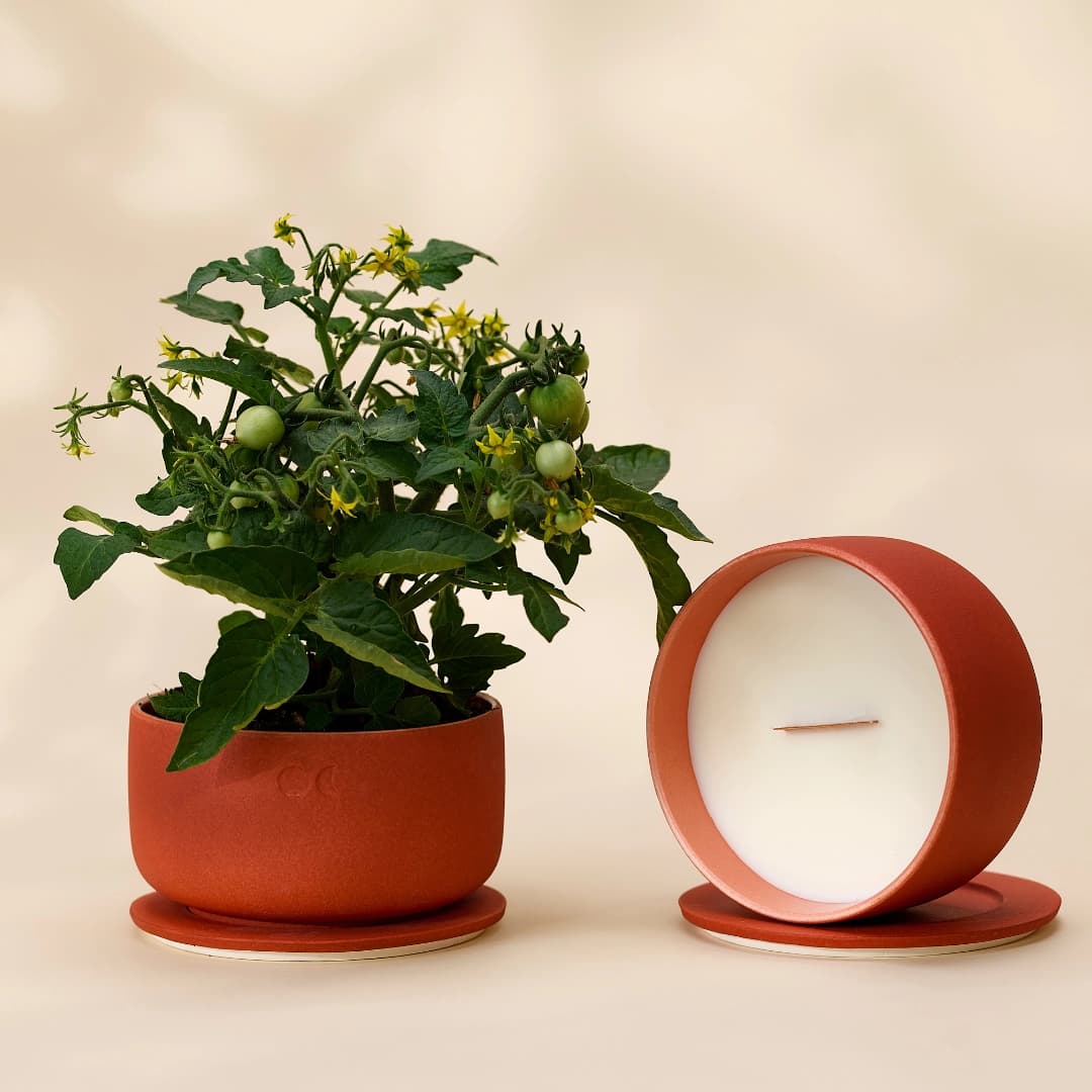 Blühendes Trio - Sandelholz, Mitternachtsjasmin, Amber (440gr X 3)