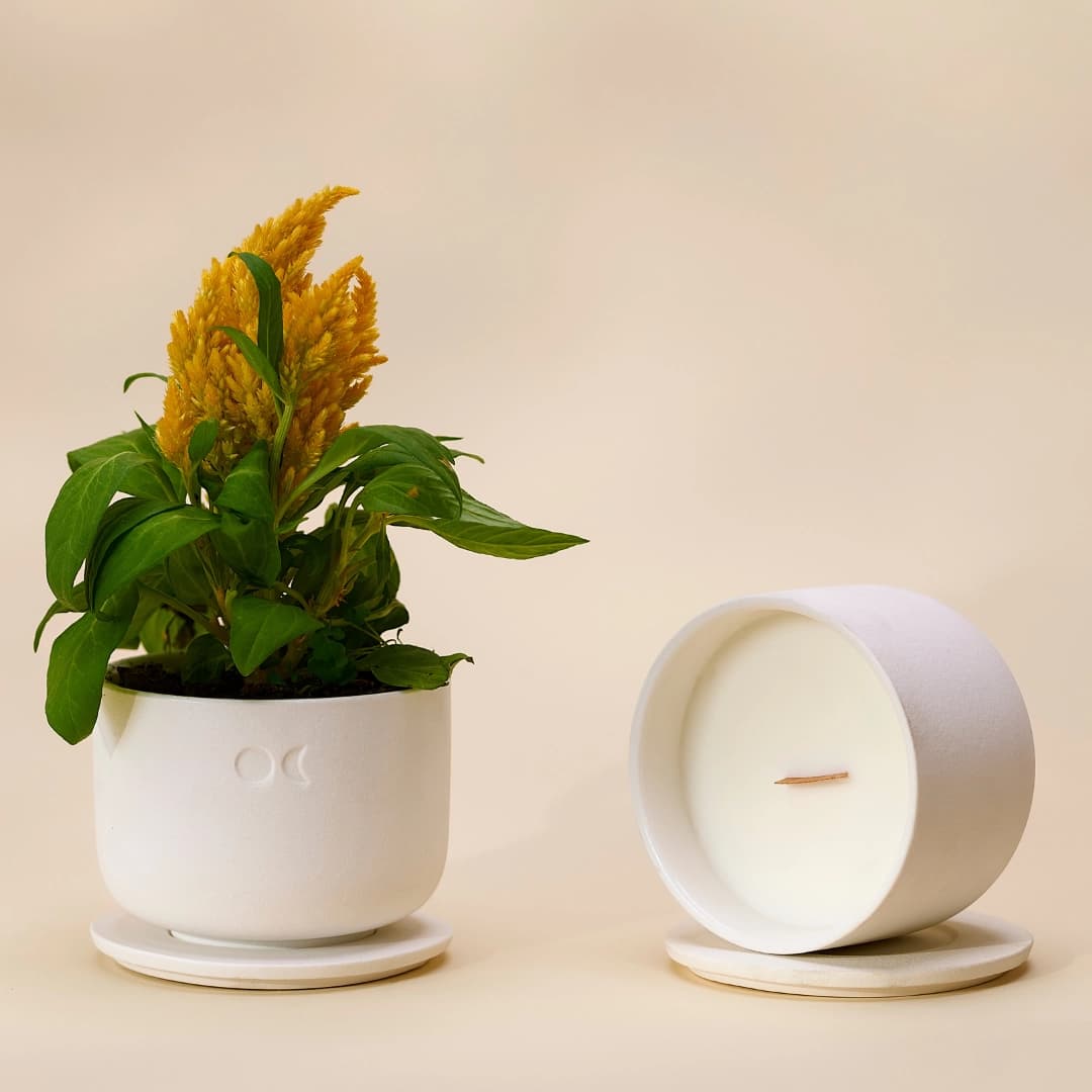 Blühende Keramikkerze - Meersalz Salbei - 220g