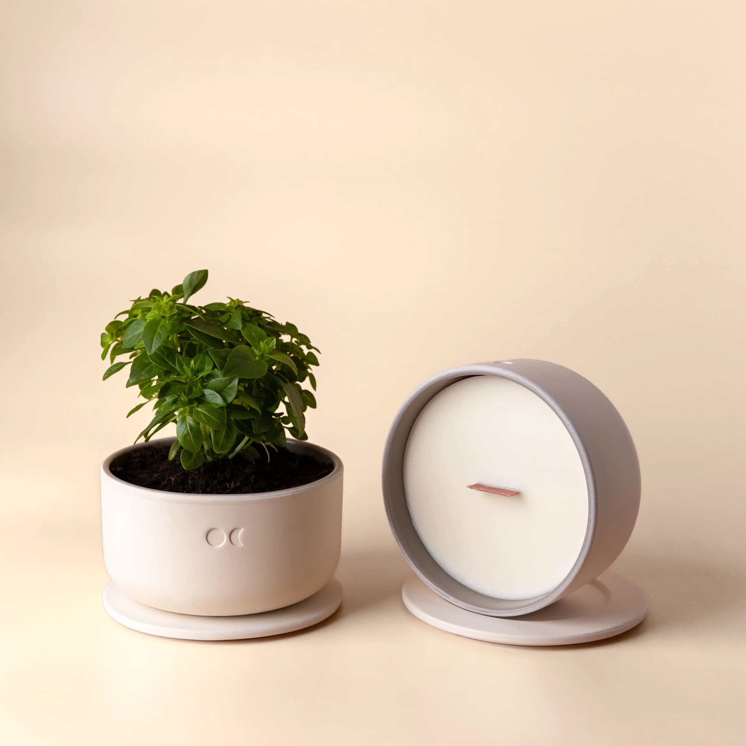 Blühende Keramikkerze - Zeder & Patchouli - 440g