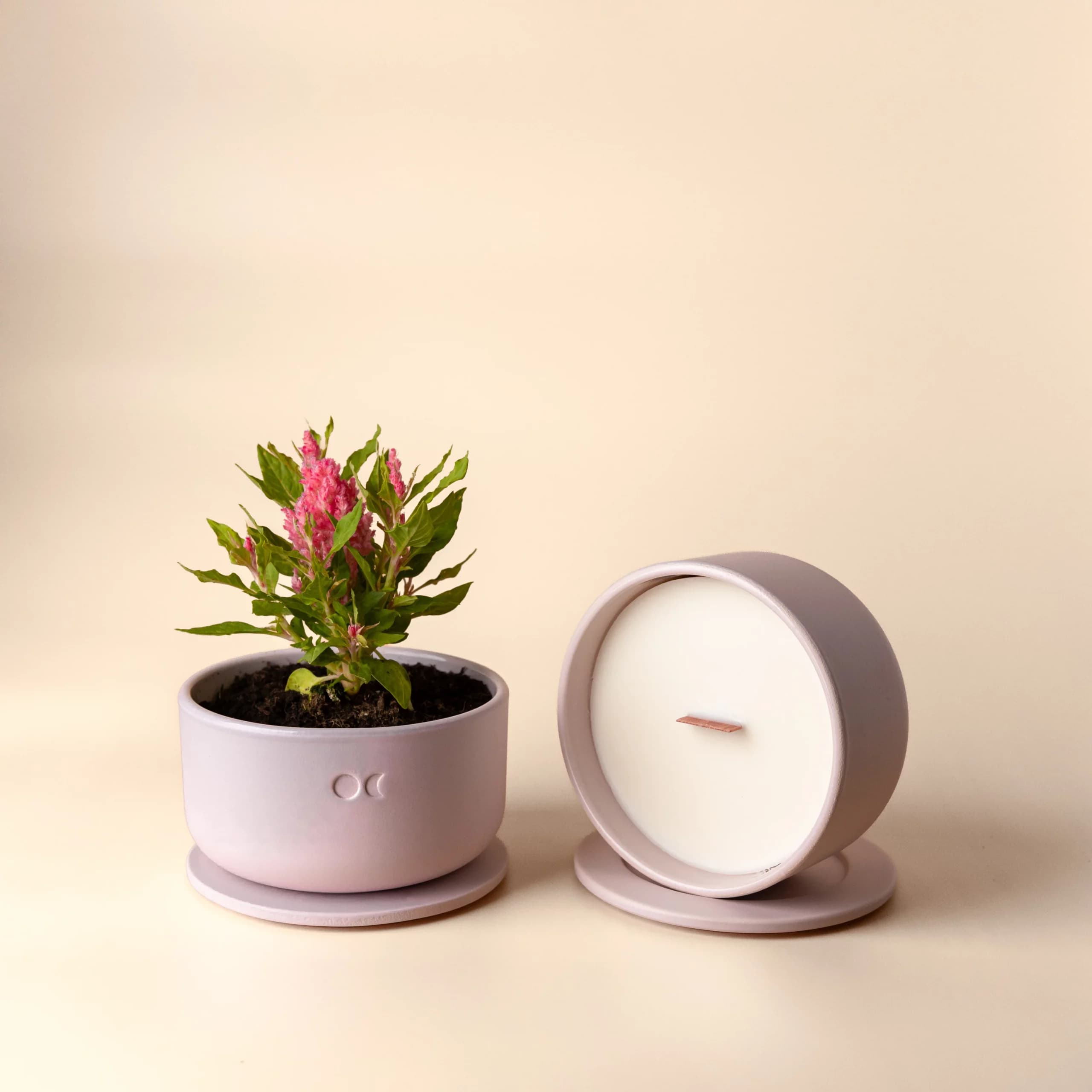 Blühende Keramikkerze - Oud & Rosen - 440g