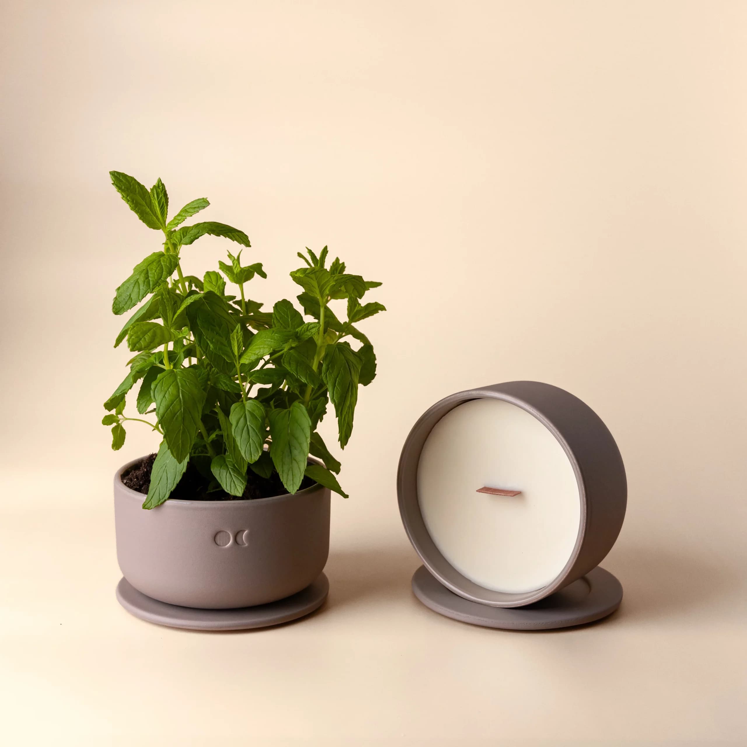 Blühende Keramikkerze - Tabak & Honig - 440g