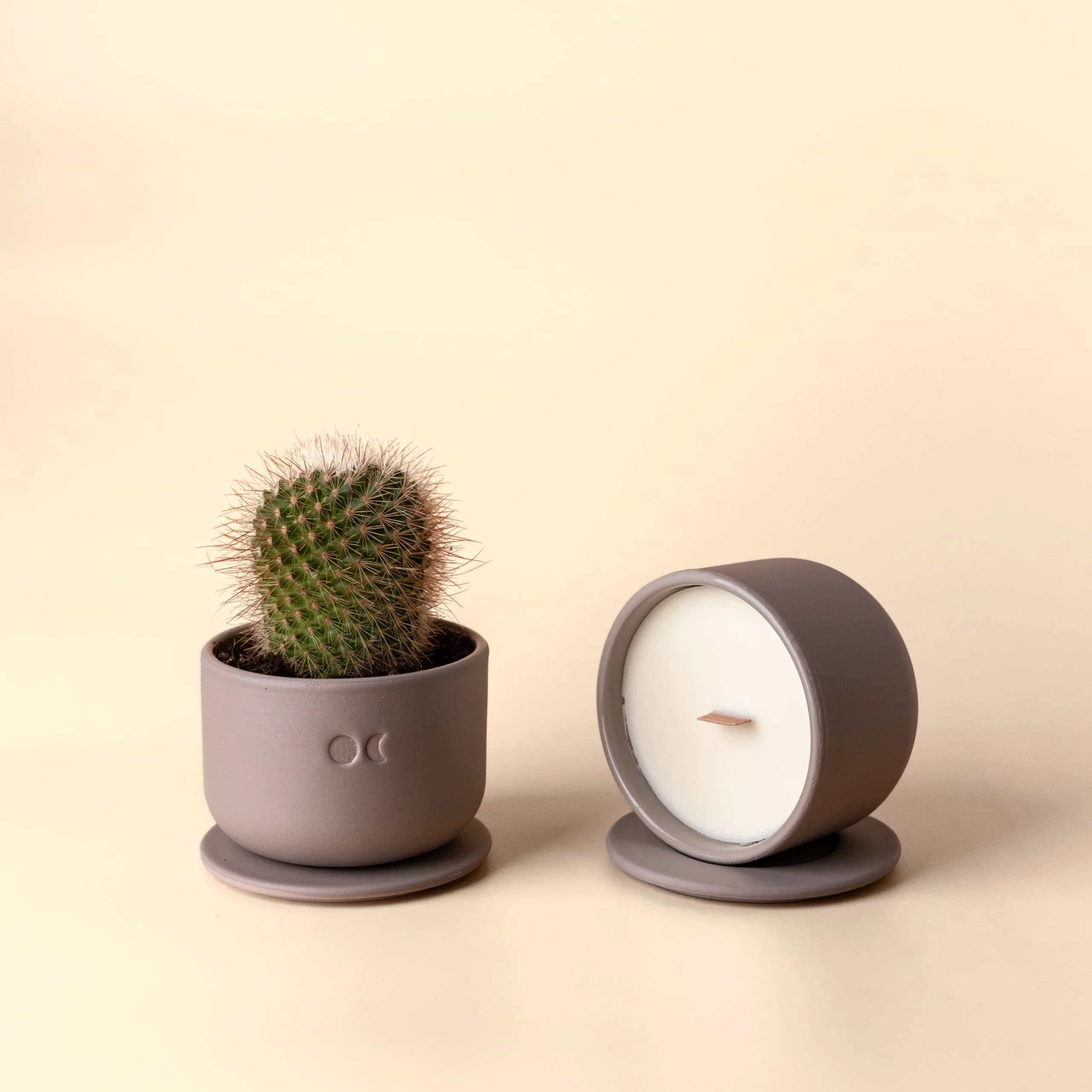 Blühende Keramikkerze - Tabak & Honig - 220g