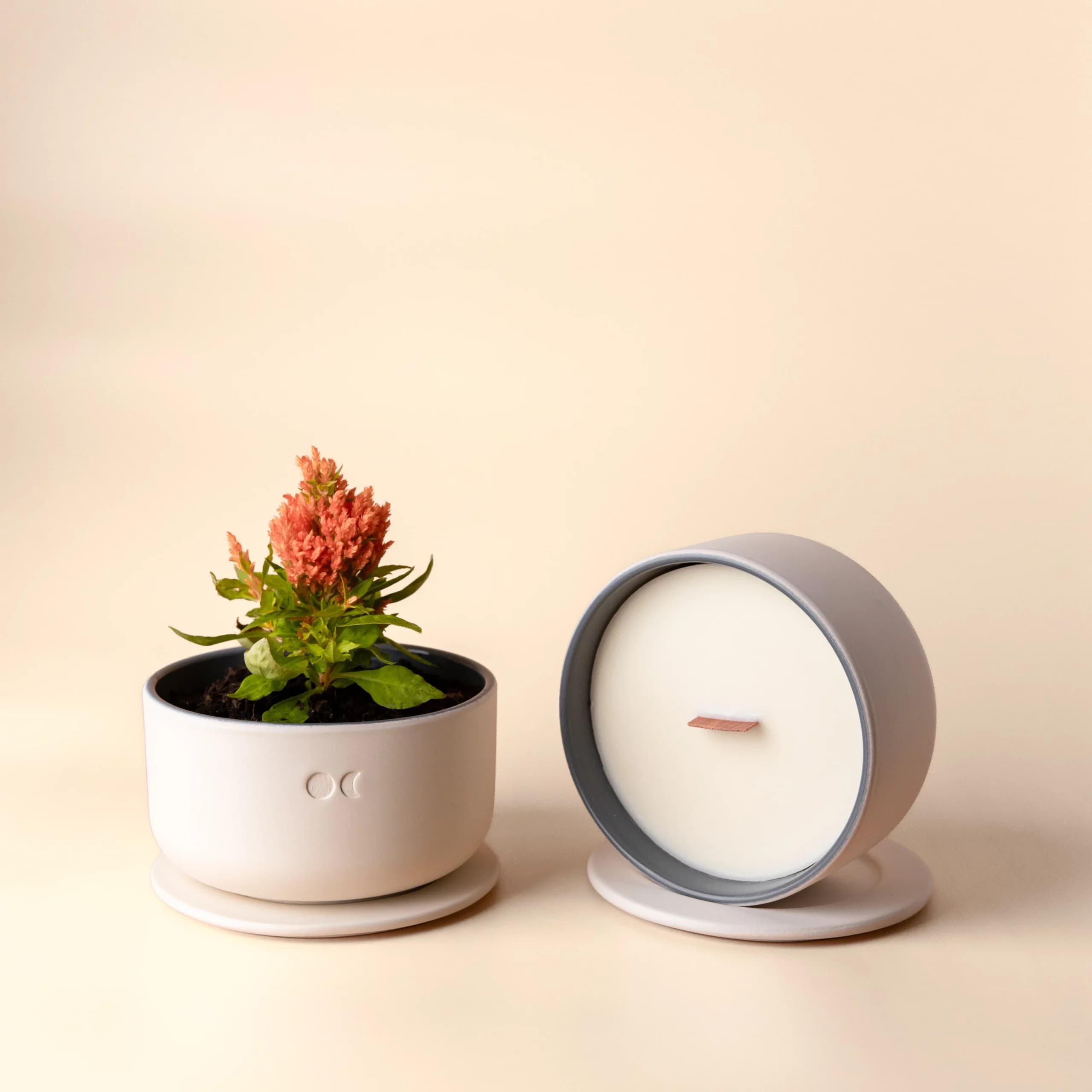 Blühende Keramikkerze - Vetiver - 440g